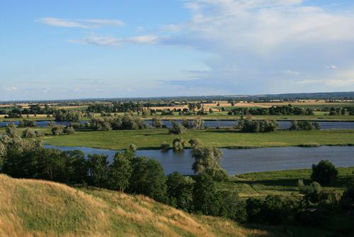 Landscape in the Oderbruch near Neurüdnitz with river arms, meadows, fields and trees.