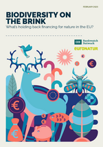Biodiversität am Rande des Abgrunds - Woran scheitert die Finanzierung des Naturschutzes in der EU?