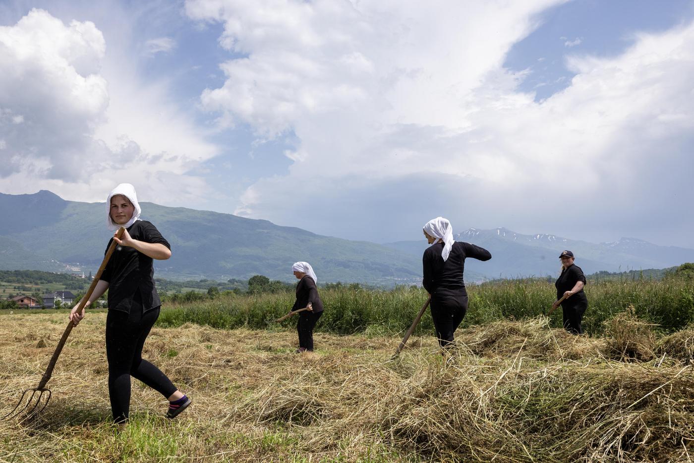 Vier Frauen bei der Heuernte im Dibra Tal in Albanien.
