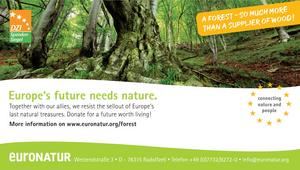 Example free display EuroNatur Forest English EuroNatur example for free advertisement