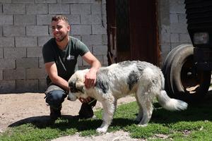 Shepherd Bože Manić with his sheepdog Johnny