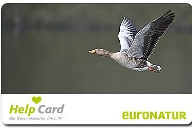 Die EuroNatur HelpCard für den Zugvogelschutz mit dem Bild einer fliegenden Gans.