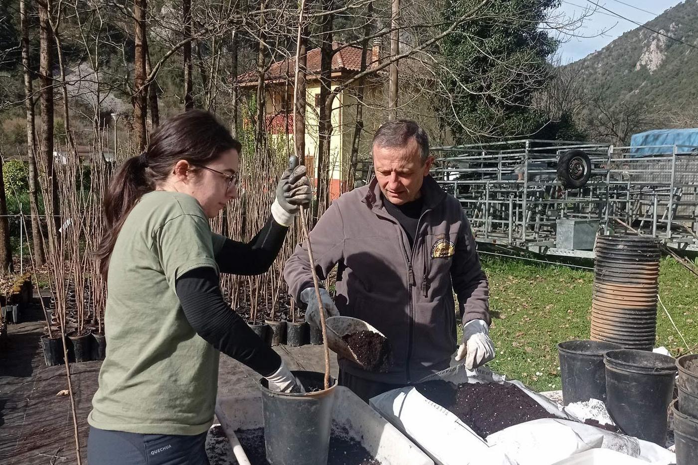 Fapas-Mitarbeiter  Monchu Magadan bereitet mit Freiwilligen Obstbäume für die Auspflanzung vor (Kampagne Plantaciones Gourmet). Dadurch sollen Bären von Siedlungen in der Provinz León fern gehalten und Konflikte mit der Lokalbevölkerung vermieden werden.