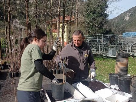 Fapas-Mitarbeiter  Monchu Magadan bereitet mit Freiwilligen Obstbäume für die Auspflanzung vor (Kampagne Plantaciones Gourmet). Dadurch sollen Bären von Siedlungen in der Provinz León fern gehalten und Konflikte mit der Lokalbevölkerung vermieden werden.