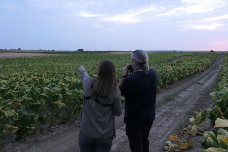 Bird conservationists between tobacco fields