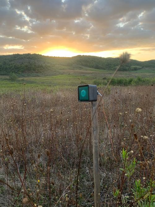 Calling device for quail hunting