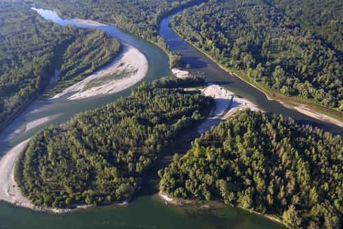 Flusslandschaft und Auwälder