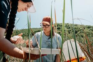 Insect researchers at the Science Week