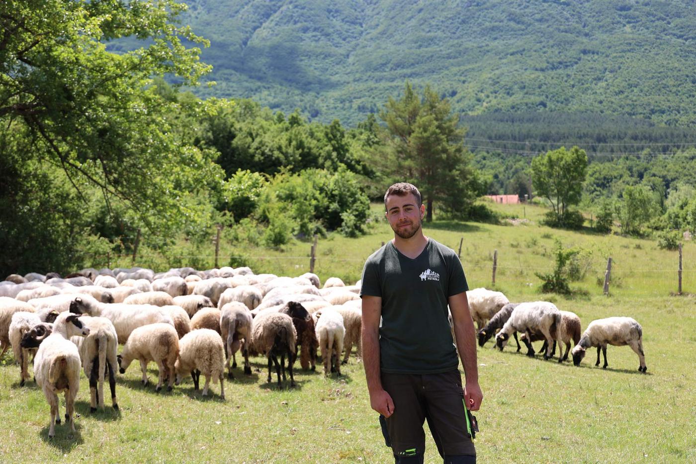 Shepherd Bože with his sheep in Livanjsko Polje