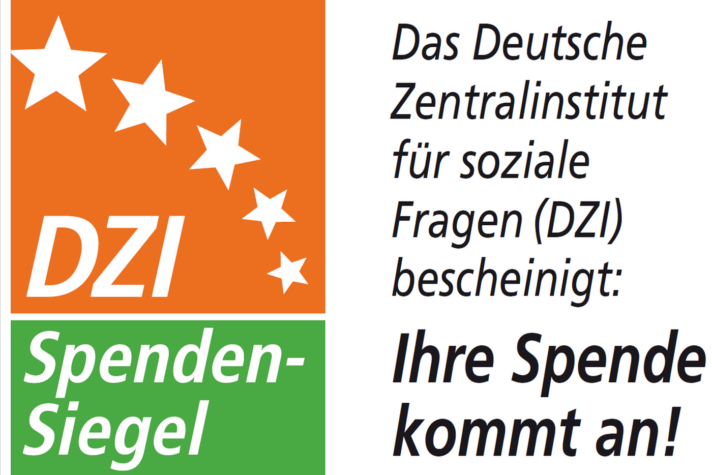 Logo des Deutschen Zentralinstituts für soziale Fragen: Ihre Spende kommt an!