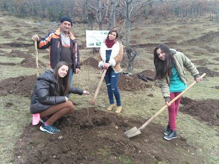 Young Albanian women plant hazelnut trees