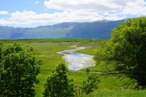 Ein kleiner Teich im Livanjsko Polje