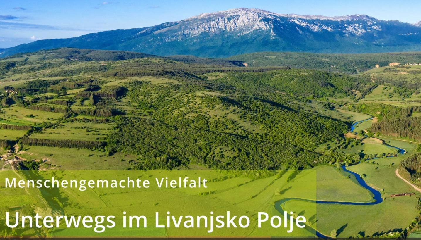 Startbildschirm für das Video Unterwegs im Livanjsko Polje