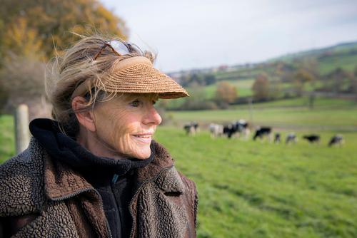 Dame neben Weide mit Rindern darauf