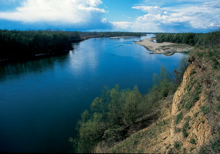 River with wooded banks